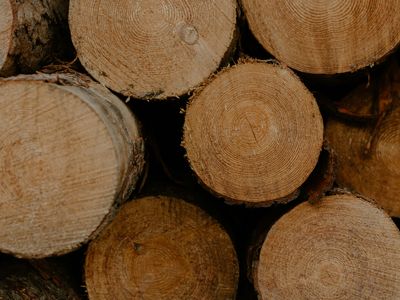 Holzverarbeitende Industrie